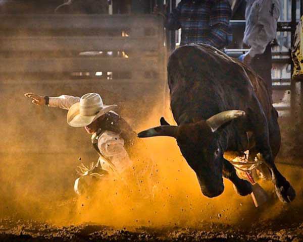 Tejas Rodeo Co